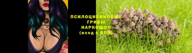 Псилоцибиновые грибы Magic Shrooms  где продают наркотики  Уссурийск 